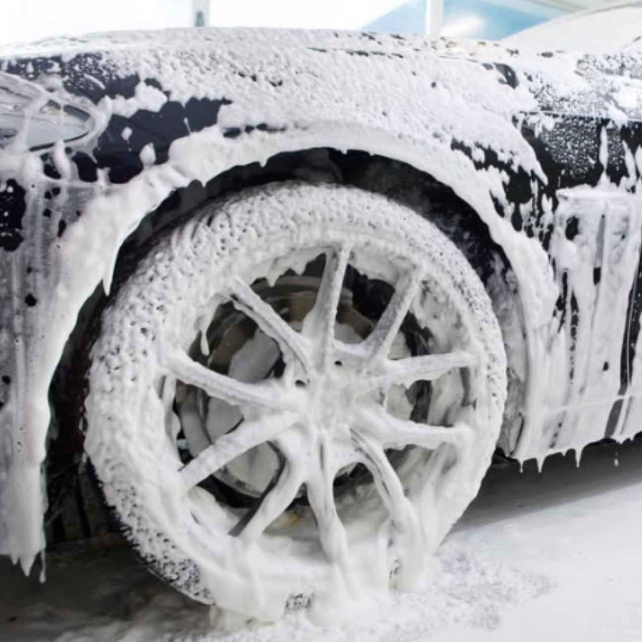 Car Shampoo